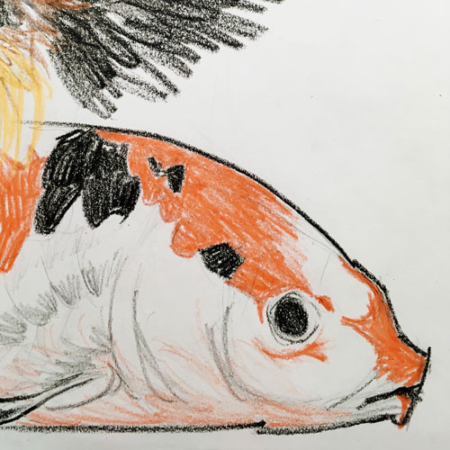 Sketchbook illustrations of a carp and a baboon in wax crayon