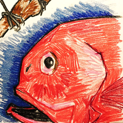 Sketchbook illustrations of a bluebird and an orange roughy in wax crayon