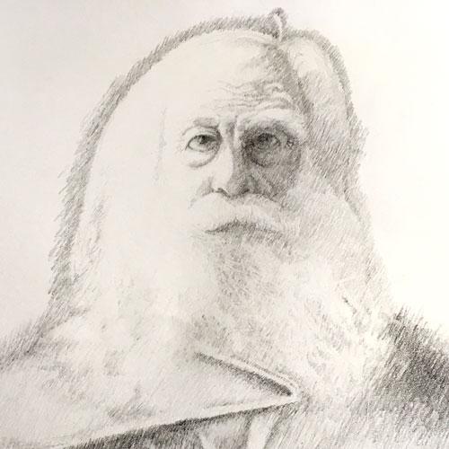 Pencil sketch of the poet Walt Whitman